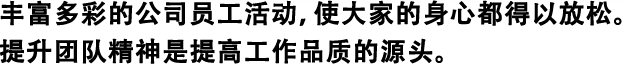 豐富多彩的公司員工活動，使大家的身心都得以放松。 提升團(tuán)隊(duì)精神是提高工作品質(zhì)的源頭。